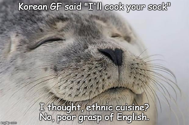 Don't go "grammar nazi" too soon | Korean GF said "I'll cook your sock"; I thought, ethnic cuisine? No, poor grasp of English. | image tagged in memes,satisfied seal | made w/ Imgflip meme maker