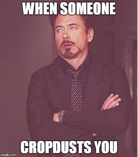 Face You Make Robert Downey Jr Meme | WHEN SOMEONE; CROPDUSTS YOU | image tagged in memes,face you make robert downey jr | made w/ Imgflip meme maker
