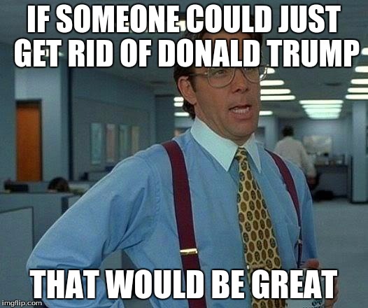 That Would Be Great Meme | IF SOMEONE COULD JUST GET RID OF DONALD TRUMP; THAT WOULD BE GREAT | image tagged in memes,that would be great | made w/ Imgflip meme maker