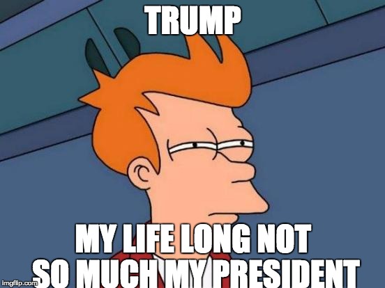 Futurama Fry | TRUMP; MY LIFE LONG NOT SO MUCH MY PRESIDENT | image tagged in memes,futurama fry | made w/ Imgflip meme maker