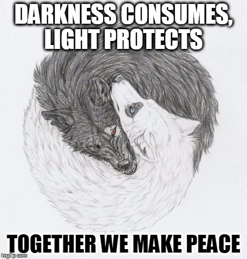 Wolves of Peace | DARKNESS CONSUMES, LIGHT PROTECTS; TOGETHER WE MAKE PEACE | image tagged in meme,wolves,yin and yang | made w/ Imgflip meme maker