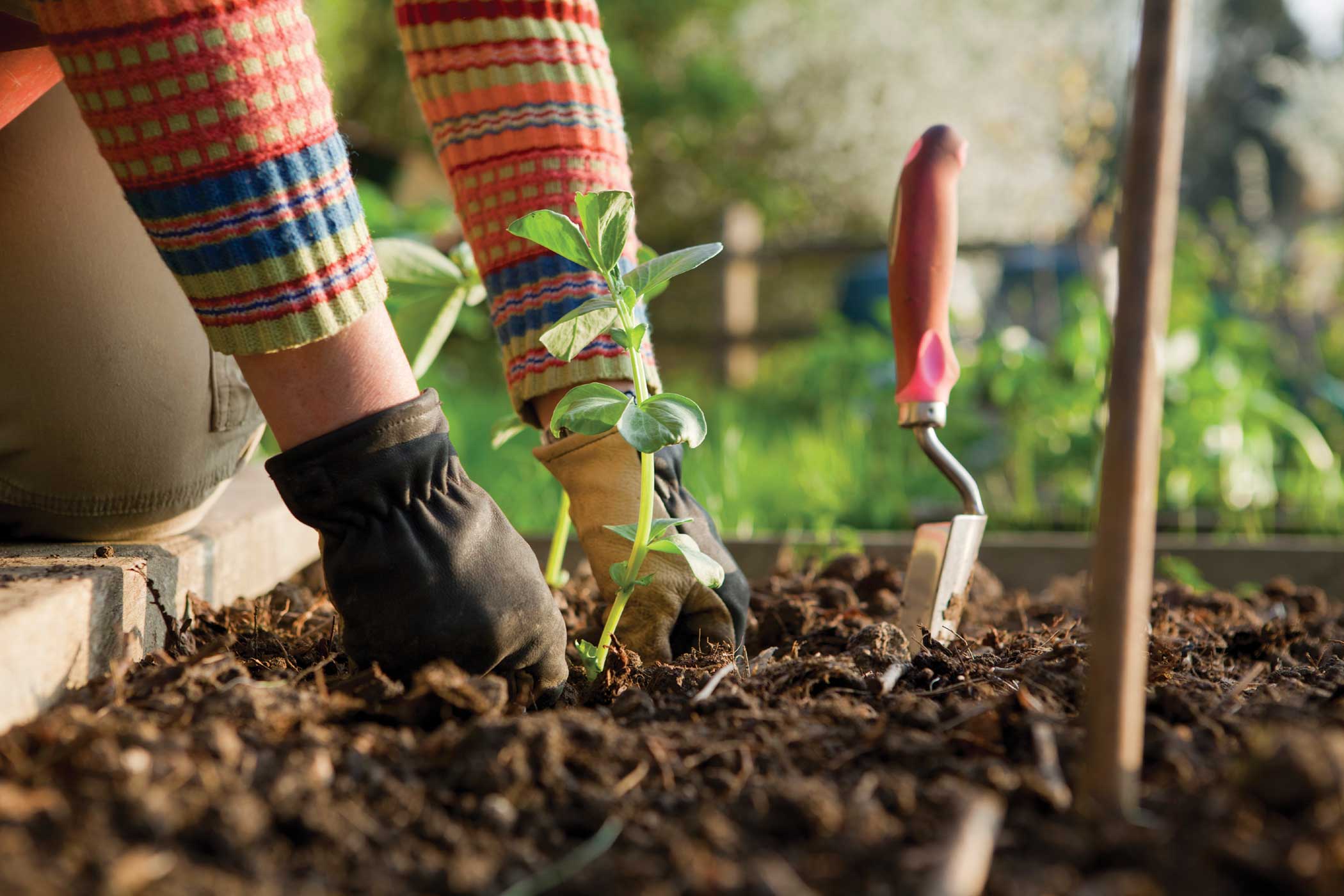 Gardening Blank Meme Template