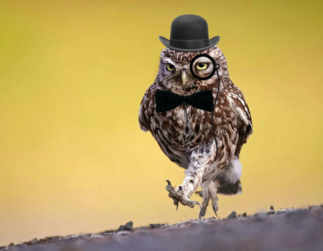 Gentleman Owl Blank Meme Template