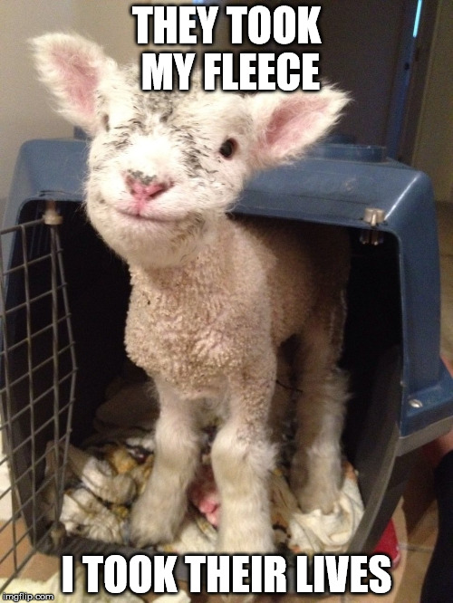 THEY TOOK MY FLEECE; I TOOK THEIR LIVES | made w/ Imgflip meme maker