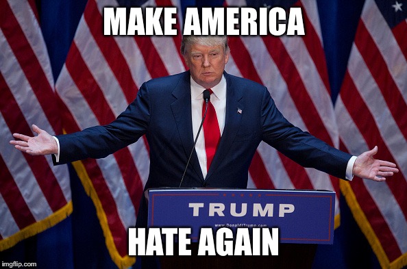Donald Trump | MAKE AMERICA; HATE AGAIN | image tagged in donald trump | made w/ Imgflip meme maker