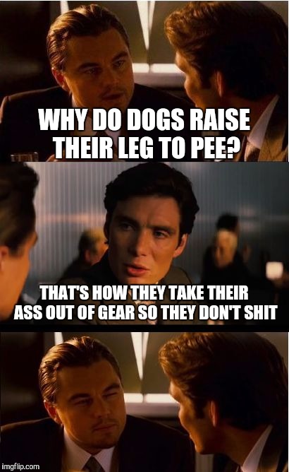 Inception Meme | WHY DO DOGS RAISE THEIR LEG TO PEE? THAT'S HOW THEY TAKE THEIR ASS OUT OF GEAR SO THEY DON'T SHIT | image tagged in memes,inception | made w/ Imgflip meme maker