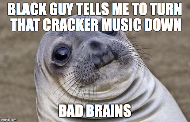 Awkward Moment Sealion | BLACK GUY TELLS ME TO TURN THAT CRACKER MUSIC DOWN; BAD BRAINS | image tagged in memes,awkward moment sealion,AdviceAnimals | made w/ Imgflip meme maker