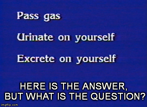 HERE IS THE ANSWER, BUT WHAT IS THE QUESTION? | image tagged in funny memes,poop,pee | made w/ Imgflip meme maker