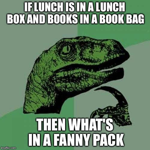 Philosoraptor Meme | IF LUNCH IS IN A LUNCH BOX AND BOOKS IN A BOOK BAG; THEN WHAT'S IN A FANNY PACK | image tagged in memes,philosoraptor | made w/ Imgflip meme maker