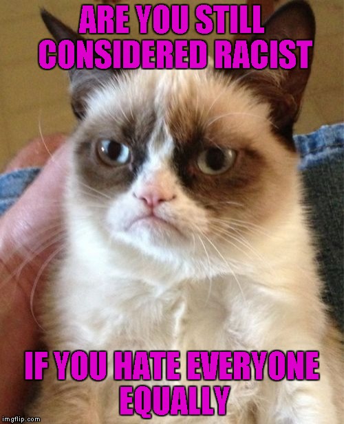 Grumpy Cat Meme | ARE YOU STILL CONSIDERED RACIST IF YOU HATE EVERYONE EQUALLY | image tagged in memes,grumpy cat | made w/ Imgflip meme maker