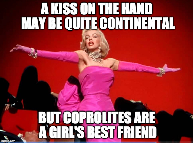 Coprolites Are A Girl's Best Friend | A KISS ON THE HAND MAY BE QUITE CONTINENTAL; BUT COPROLITES ARE A GIRL'S BEST FRIEND | image tagged in diamonds are a girl's best friend,marylin monroe,coprolite | made w/ Imgflip meme maker