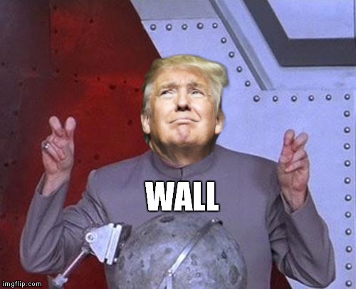 Dr. Evil Trump | WALL | image tagged in dr evil,donald trump | made w/ Imgflip meme maker