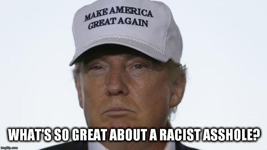WHAT'S SO GREAT ABOUT A RACIST ASSHOLE? | image tagged in donald trump,election 2016,racist | made w/ Imgflip meme maker