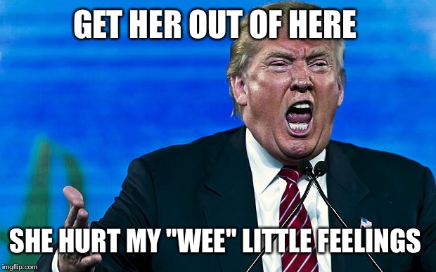 GET HER OUT OF HERE SHE HURT MY "WEE" LITTLE FEELINGS | made w/ Imgflip meme maker