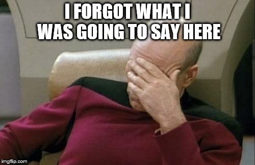Captain Picard Facepalm Meme | I FORGOT WHAT I WAS GOING TO SAY HERE | image tagged in memes,captain picard facepalm | made w/ Imgflip meme maker
