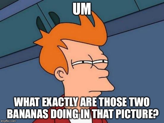 Futurama Fry Meme | UM WHAT EXACTLY ARE THOSE TWO BANANAS DOING IN THAT PICTURE? | image tagged in memes,futurama fry | made w/ Imgflip meme maker