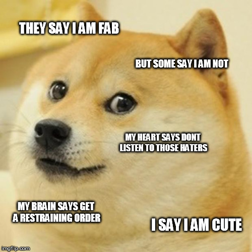 Doge Meme | THEY SAY I AM FAB; BUT SOME SAY I AM NOT; MY HEART SAYS DONT LISTEN TO THOSE HATERS; MY BRAIN SAYS GET A RESTRAINING ORDER; I SAY I AM CUTE | image tagged in memes,doge | made w/ Imgflip meme maker