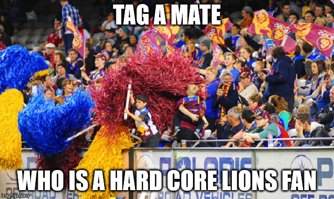 TAG A MATE; WHO IS A HARD CORE LIONS FAN | image tagged in lions | made w/ Imgflip meme maker