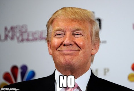 Donald trump approves | NO | image tagged in donald trump approves | made w/ Imgflip meme maker