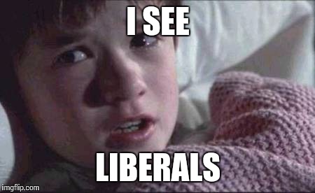 I See Dead People | I SEE; LIBERALS | image tagged in memes,i see dead people | made w/ Imgflip meme maker