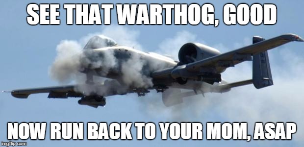 A-10 nigga please | SEE THAT WARTHOG, GOOD; NOW RUN BACK TO YOUR MOM, ASAP | image tagged in a-10 nigga please | made w/ Imgflip meme maker