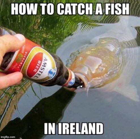 How to catch a fish in Ireland  | . | image tagged in irish,fish,funny,fishing,ireland,animals | made w/ Imgflip meme maker