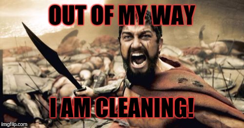 Sparta Leonidas | OUT OF MY WAY; I AM CLEANING! | image tagged in memes,sparta leonidas | made w/ Imgflip meme maker