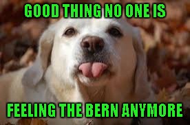 GOOD THING NO ONE IS FEELING THE BERN ANYMORE | made w/ Imgflip meme maker