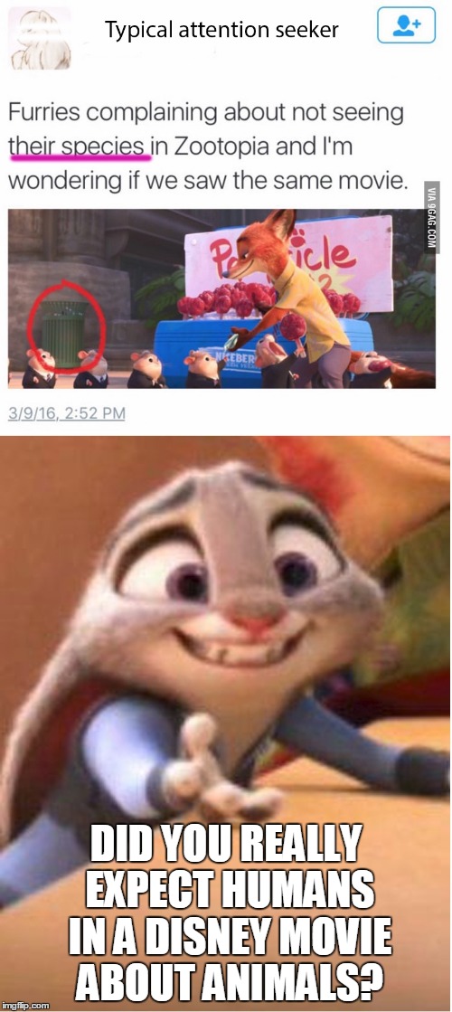 Offended by Zootopia? | DID YOU REALLY EXPECT HUMANS IN A DISNEY MOVIE ABOUT ANIMALS? | image tagged in zootopia,judy hopps,disney,zootropolis,nick wilde,offended | made w/ Imgflip meme maker