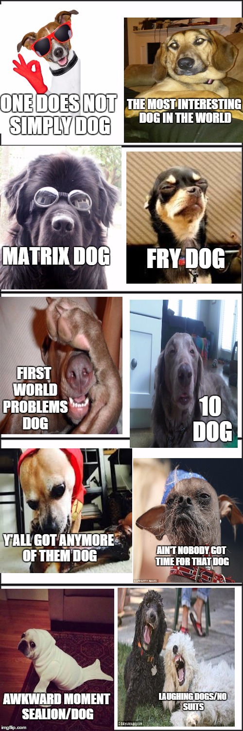 WHAT IF ALL THE TEMPLATES WERE DOGS? (Forgive me if this has been done) | THE MOST INTERESTING DOG IN THE WORLD; ONE DOES NOT SIMPLY DOG; MATRIX DOG; FRY DOG; FIRST WORLD PROBLEMS DOG; 10 DOG; Y'ALL GOT ANYMORE OF THEM DOG; AIN'T NOBODY GOT TIME FOR THAT DOG; LAUGHING DOGS/NO SUITS; AWKWARD MOMENT SEALION/DOG | image tagged in one does not simply,the most interesting man in the world,futurama fry,matrix morpheus,first world problems,10 guy | made w/ Imgflip meme maker