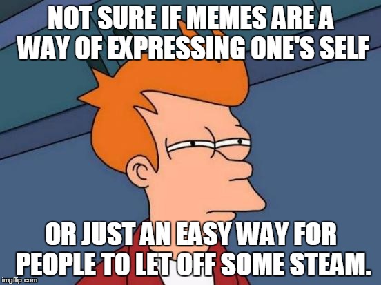 What The Meaning Of This?!? | NOT SURE IF MEMES ARE A WAY OF EXPRESSING ONE'S SELF; OR JUST AN EASY WAY FOR PEOPLE TO LET OFF SOME STEAM. | image tagged in memes,futurama fry,meme maker,stress | made w/ Imgflip meme maker