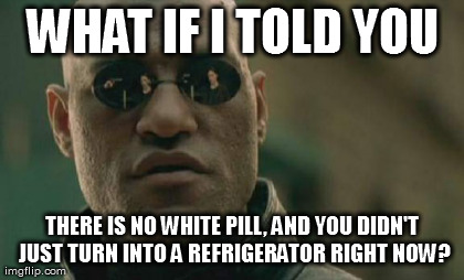 Matrix Morpheus Meme | WHAT IF I TOLD YOU THERE IS NO WHITE PILL, AND YOU DIDN'T JUST TURN INTO A REFRIGERATOR RIGHT NOW? | image tagged in memes,matrix morpheus | made w/ Imgflip meme maker