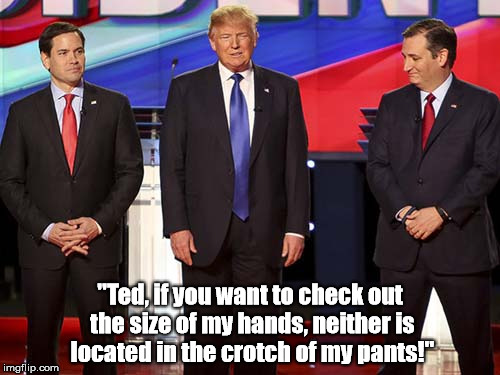 Checking out Donald Trump's "hand size" at the Republican presidential debates? | "Ted, if you want to check out the size of my hands, neither is located in the crotch of my pants!" | image tagged in donald trump,ted cruz,hand size,penis size,repubican debates,republican primaries | made w/ Imgflip meme maker