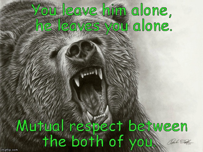 Roll Raiderz Thia Wildlife Conservation Society bears commercial | You leave him alone,  he leaves you alone. Mutual respect between the both of you. | image tagged in roll raiderz thia wildlife conservation society bears commercial | made w/ Imgflip meme maker