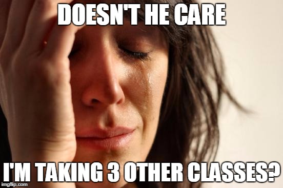 First World Problems | DOESN'T HE CARE; I'M TAKING 3 OTHER CLASSES? | image tagged in memes,first world problems | made w/ Imgflip meme maker
