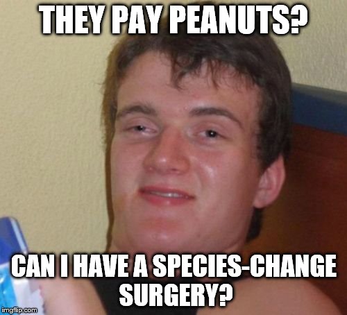 10 Guy Meme | THEY PAY PEANUTS? CAN I HAVE A SPECIES-CHANGE SURGERY? | image tagged in memes,10 guy | made w/ Imgflip meme maker