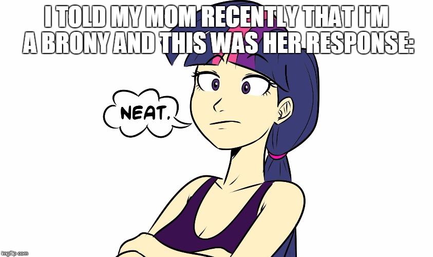 I TOLD MY MOM RECENTLY THAT I'M A BRONY AND THIS WAS HER RESPONSE: | image tagged in human twilight sparkle | made w/ Imgflip meme maker