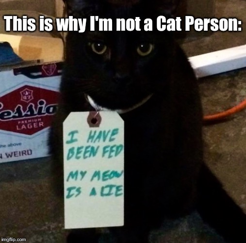 Cats? Meh. *shrug* | This is why I'm not a Cat Person: | image tagged in memes,lolcats | made w/ Imgflip meme maker