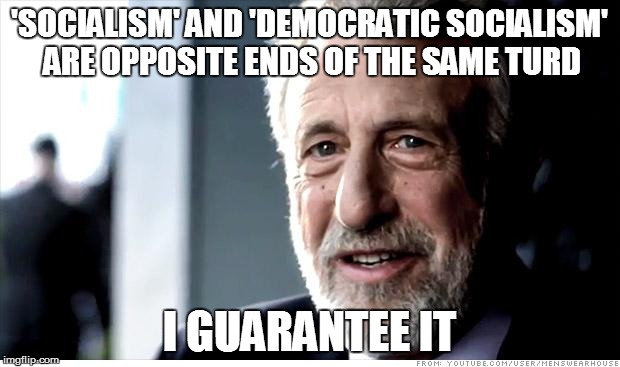 I Guarantee It | 'SOCIALISM' AND 'DEMOCRATIC SOCIALISM' ARE OPPOSITE ENDS OF THE SAME TURD; I GUARANTEE IT | image tagged in memes,i guarantee it | made w/ Imgflip meme maker