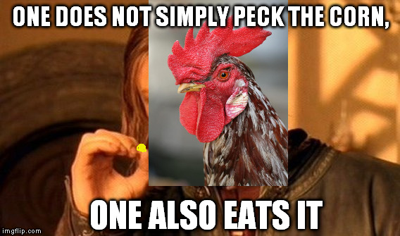 Cockrates the avian philosopher | ONE DOES NOT SIMPLY PECK THE CORN, ONE ALSO EATS IT | image tagged in memes,one does not simply,cockrates | made w/ Imgflip meme maker