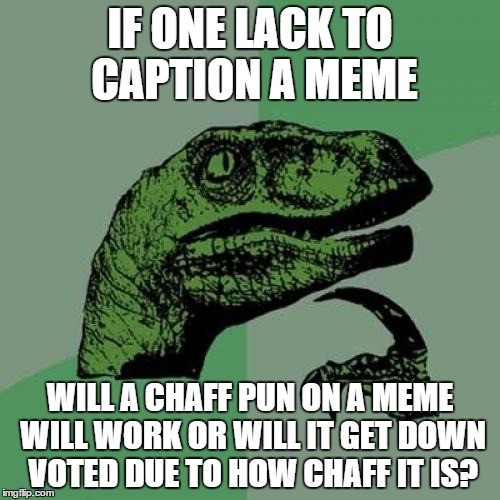 Philosoraptor | IF ONE LACK TO CAPTION A MEME; WILL A CHAFF PUN ON A MEME WILL WORK OR WILL IT GET DOWN VOTED DUE TO HOW CHAFF IT IS? | image tagged in memes,philosoraptor | made w/ Imgflip meme maker