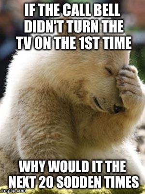 Facepalm Bear | IF THE CALL BELL DIDN'T TURN THE TV ON THE 1ST TIME; WHY WOULD IT THE NEXT 20 SODDEN TIMES | image tagged in memes,facepalm bear | made w/ Imgflip meme maker