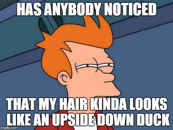 Futurama Fry Meme | HAS ANYBODY NOTICED; THAT MY HAIR KINDA LOOKS LIKE AN UPSIDE DOWN DUCK | image tagged in memes,futurama fry | made w/ Imgflip meme maker