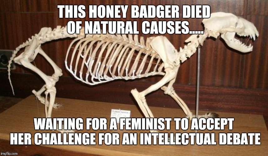 THIS HONEY BADGER DIED OF NATURAL CAUSES..... WAITING FOR A FEMINIST TO ACCEPT HER CHALLENGE FOR AN INTELLECTUAL DEBATE | image tagged in honey badger | made w/ Imgflip meme maker