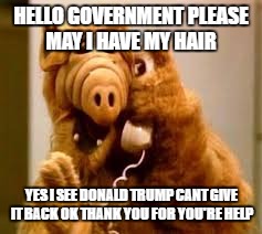 alf | HELLO GOVERNMENT PLEASE MAY I HAVE MY HAIR; YES I SEE DONALD TRUMP CANT GIVE IT BACK OK THANK YOU FOR YOU'RE HELP | image tagged in alf | made w/ Imgflip meme maker