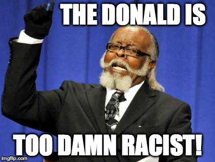 Too Damn High Meme | THE DONALD IS TOO DAMN RACIST! | image tagged in memes,too damn high | made w/ Imgflip meme maker