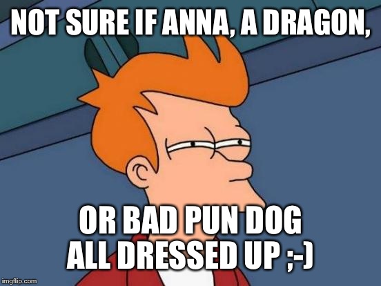 Futurama Fry Meme | NOT SURE IF ANNA, A DRAGON, OR BAD PUN DOG ALL DRESSED UP ;-) | image tagged in memes,futurama fry | made w/ Imgflip meme maker