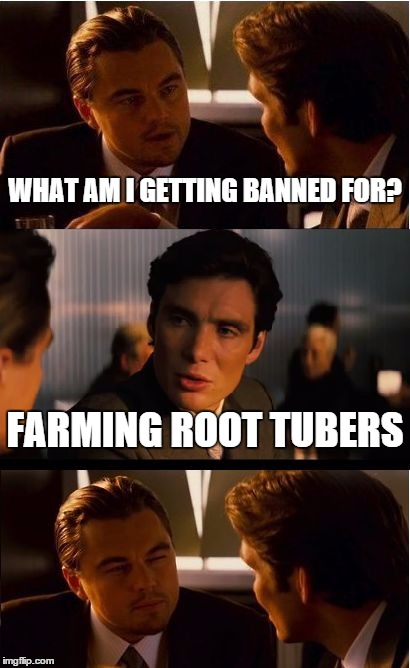 Inception Meme | WHAT AM I GETTING BANNED FOR? FARMING ROOT TUBERS | image tagged in memes,inception | made w/ Imgflip meme maker