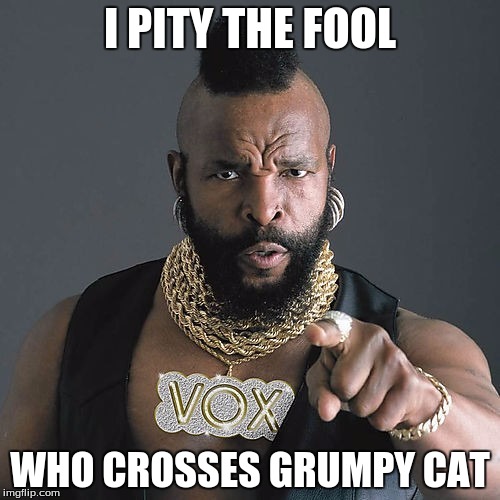 Mr T Pity The Fool | I PITY THE FOOL; WHO CROSSES GRUMPY CAT | image tagged in memes,mr t pity the fool | made w/ Imgflip meme maker