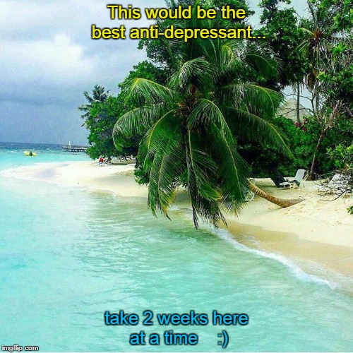 tropical palms | This would be the best anti-depressant... take 2 weeks here at a time    :) | image tagged in blue water,blue sky | made w/ Imgflip meme maker